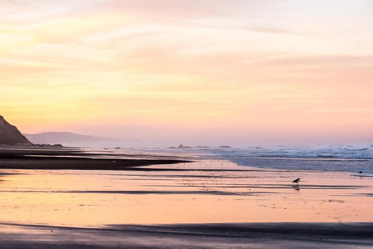 New Listing! Bay-View Beauty With Private Balcony Condo Lincoln City Buitenkant foto